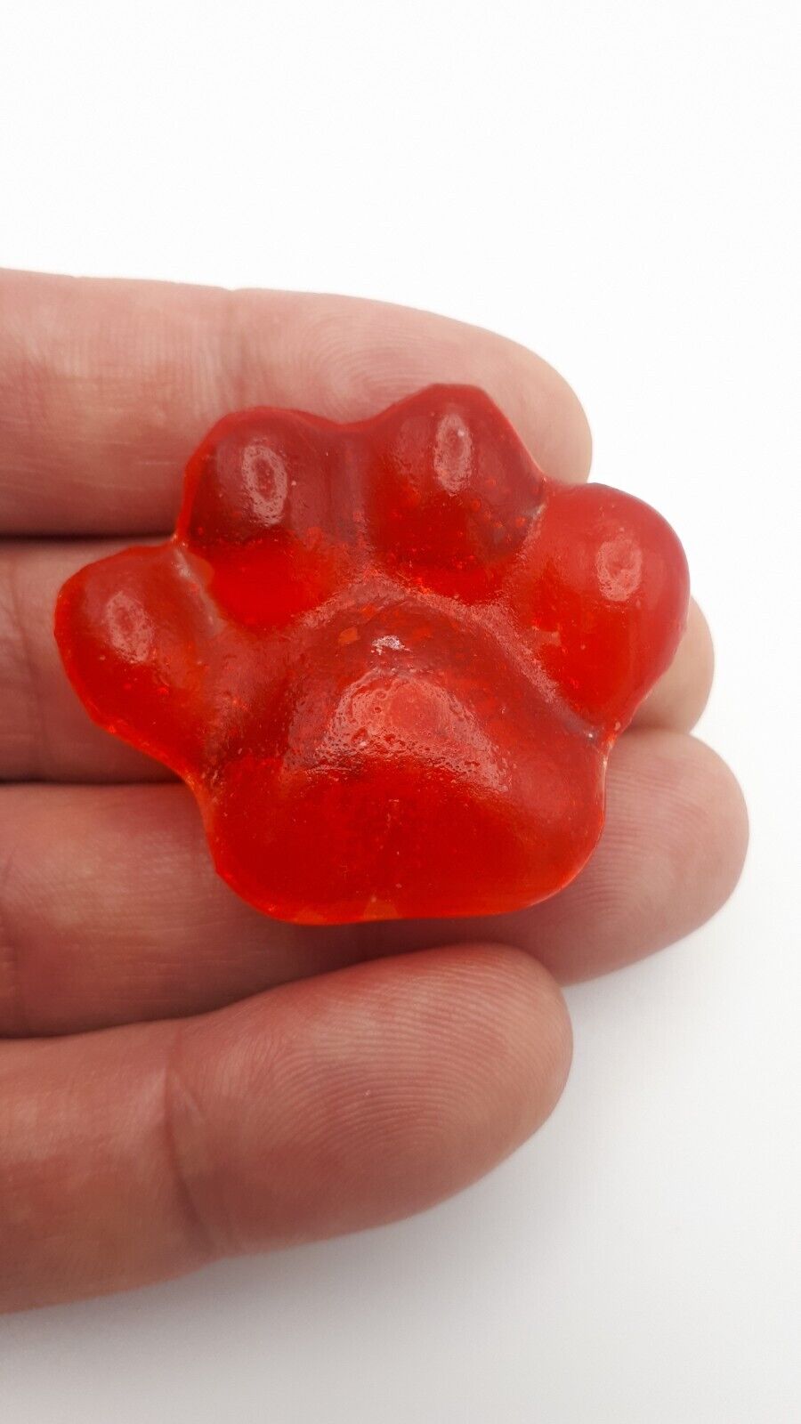 Orange Delight Pet Paw