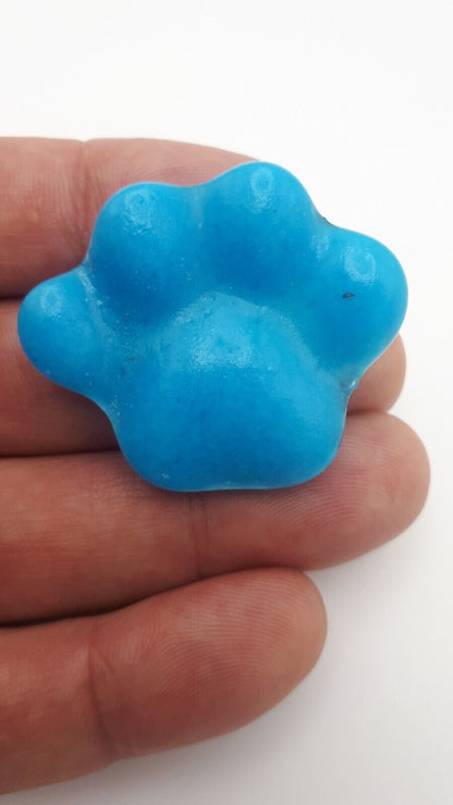 Turquoise Blue Lagoon Pet Paw